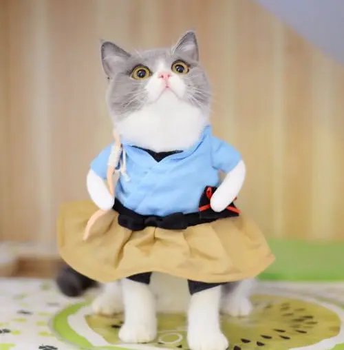 Pet Dog Cat Transformed Clothes Upright Clothes