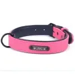 Pet collar