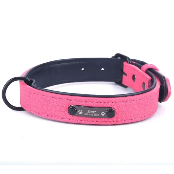 Pet collar