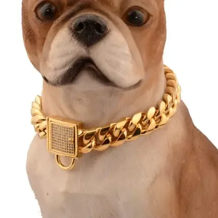 Best Place To Buy Stainless Steel Titanium Steel Gold Encryption Chain