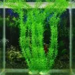 Best Cheap Fishbowl Scenery Simulation Aquatic Plant Simulation Grass