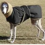 Pet magic stick warm cotton clothes For Dog