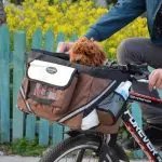 Pet Bicycle Carrier Cat Dog Bicycle Bag