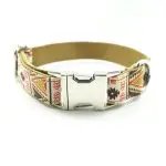 Pet Traction Collar for Dogs