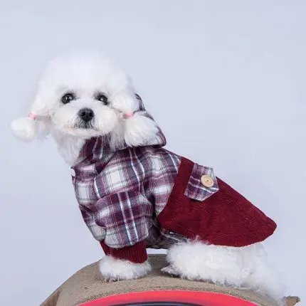 Teddy VIP Pomeranian Small Dog Plus Cashmere Coat