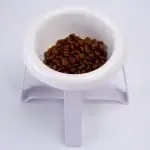 Anti sleep Dog And Cat Feeding Bowl