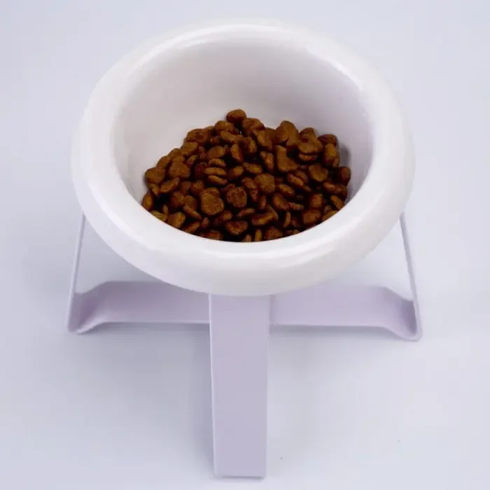 Anti sleep Dog And Cat Feeding Bowl