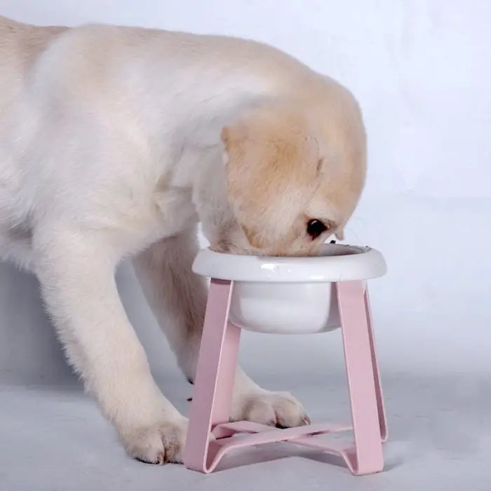 Anti sleep Dog And Cat Feeding Bowl