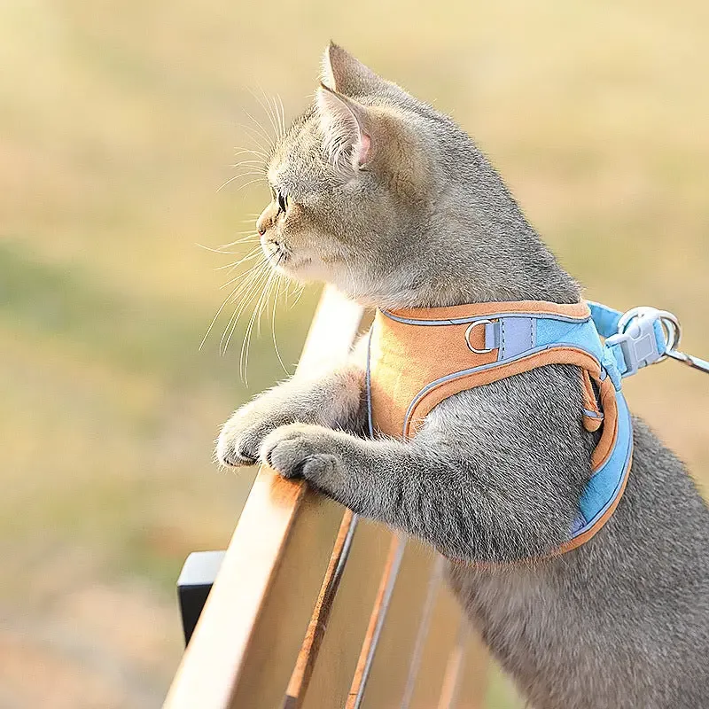 Cat Traction Rope Home Vest-Style Chest Harness