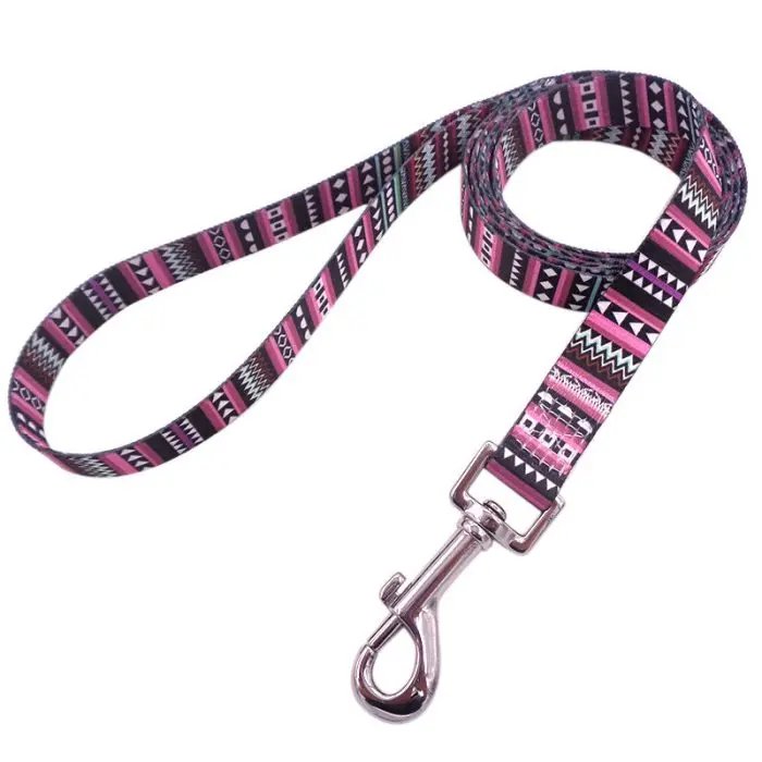 Bright And Novel Multi-color Pet With Colorful Dog Leash
