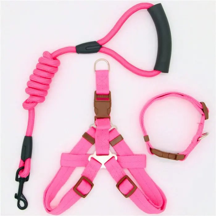 Pet Supplies Simple Dog Leash