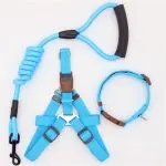 Pet Supplies Simple Dog Leash