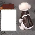 Puppy Pet Warm Autumn And Winter Clothes