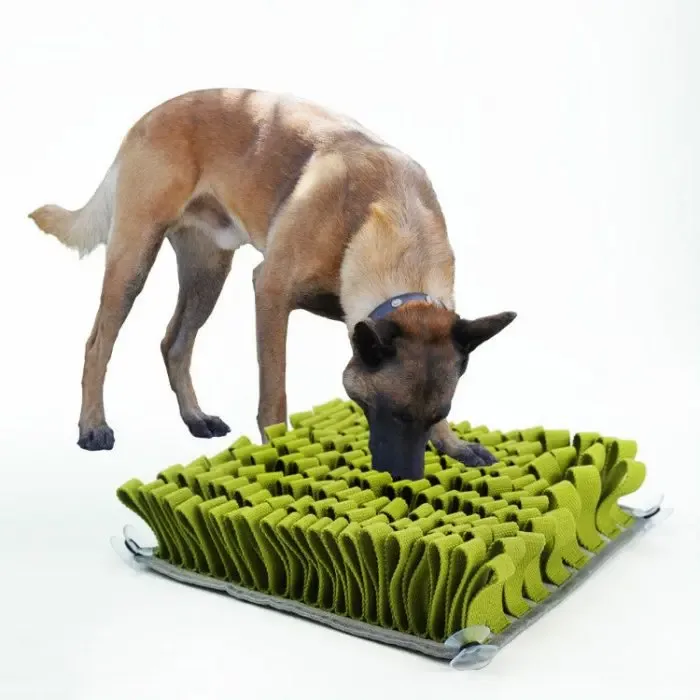 Pet Bite-Resistant Slow Food Toy