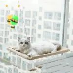 Suction Cup Hanging Bed For Summer Sunbathing Swing Cat Bed