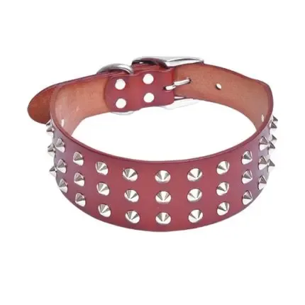 Anti-Bite Neckband For Dog
