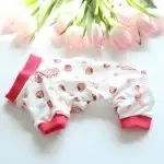 Multicolor Dog Pet Clothes