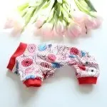 Multicolor Dog Pet Clothes