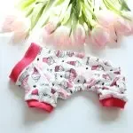 Multicolor Dog Pet Clothes