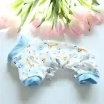 Multicolor Dog Pet Clothes