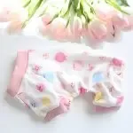Multicolor Dog Pet Clothes