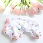 Multicolor Dog Pet Clothes