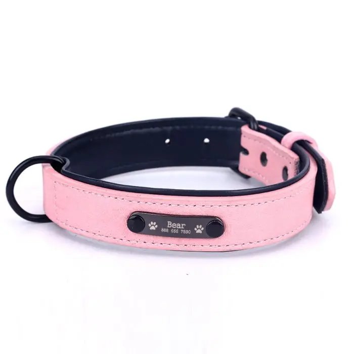 Dog Collar Lettering And Anti Loss Nameplate