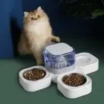 Cat Water Dispenser