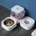 Cat Water Dispenser