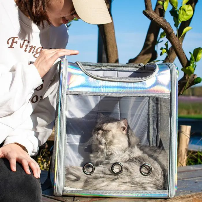Large Space Transparent Laser Backpack For Dog And Cat