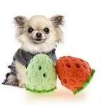 Pet Dog Bite Resistant Strawberry Leaking Ball Toy