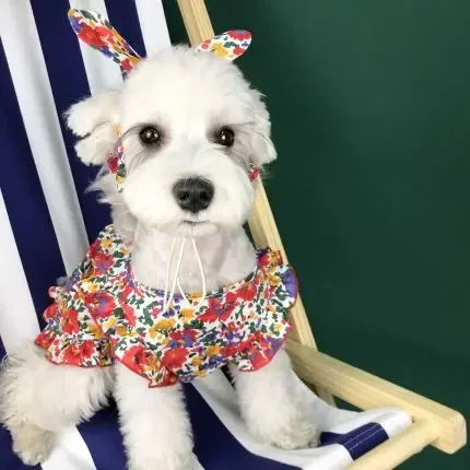 Dog Clothes Summer Thin Small Dog Dress