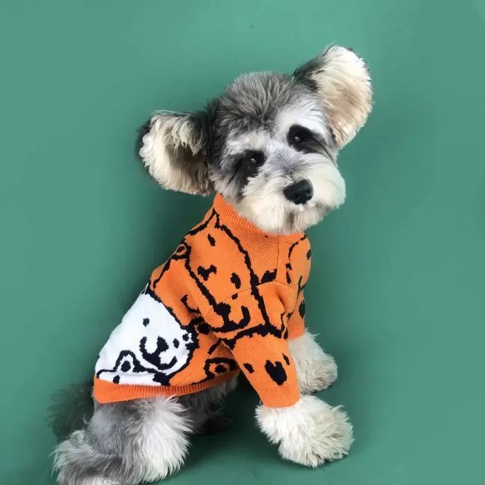 Dog Clothes Small Dog Spring And Autumn Pet Cubs Pullover Dog Sweater