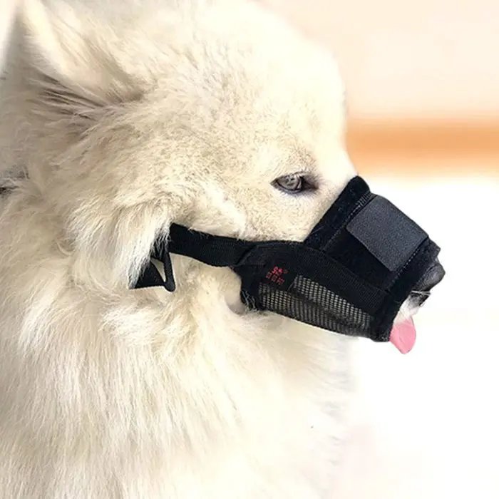 Dog Bite-proof Mouthpiece Guard