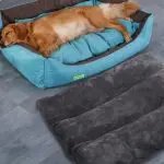 Summer Fully Removable And Washable Big Dog Mat