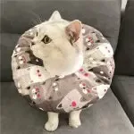 Pet Collar Anti-scratch Headgear Cat Collar For all Seasons