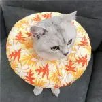 Pet Collar Anti-scratch Headgear Cat Collar For all Seasons