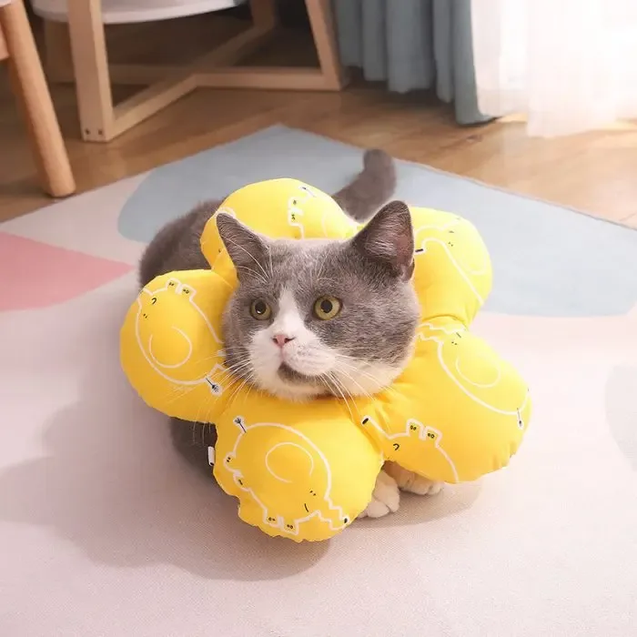 Cat Supplies Anti-bite And Anti-licking Shame Collar
