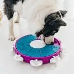 Tornado Storm Dog Educational Toys Pet Leaking Food Device