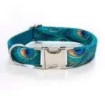 Zinc Alloy Buckle Dog Collar Big Dog Collar for large dogs