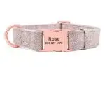 Pet Dog Collar Engraving Anti-Lost Traction Rope Supplies