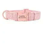 Pet Dog Collar Engraving Anti-Lost Traction Rope Supplies