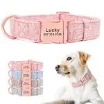 Pet Dog Collar Engraving Anti-Lost Traction Rope Supplies