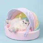 Rainbow Cat Bed Soft Pet Sleeping Mat