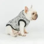 Cartoon Hooded Short-sleeved Sweater Casual Cartoon Vest Clothes For Dog