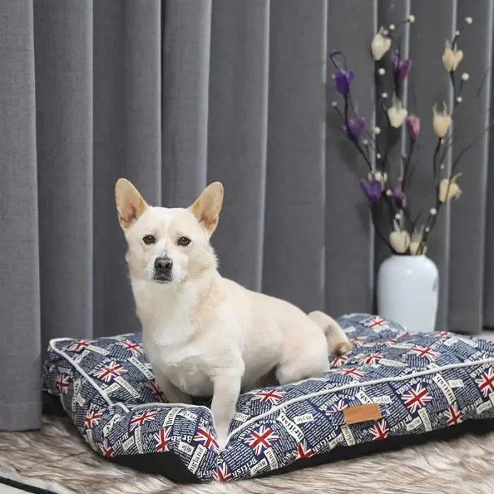 Cat And Dog Nest