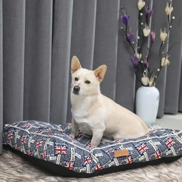 Cat And Dog Nest