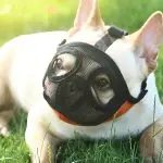Fadou Puppy Mouth Cover Anti-bite And Bark Eating Mask For dog