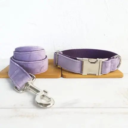 Collar and leash for pet dogs