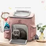 Travel Bag Sports Backpack Portable Collapsible Breathable Pet Backpack Medium Cat Dog